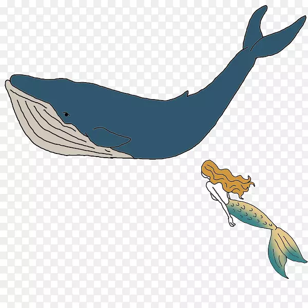 海豚鲸鱼发声海豚标志-海豚