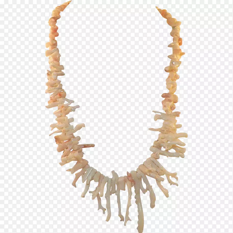 项链耳环红珊瑚服装珠宝首饰.珊瑚