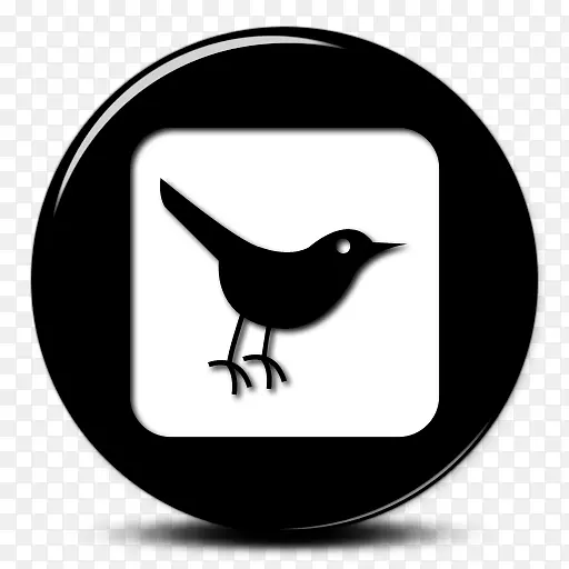 鸟类电脑图标社交媒体社交网络服务