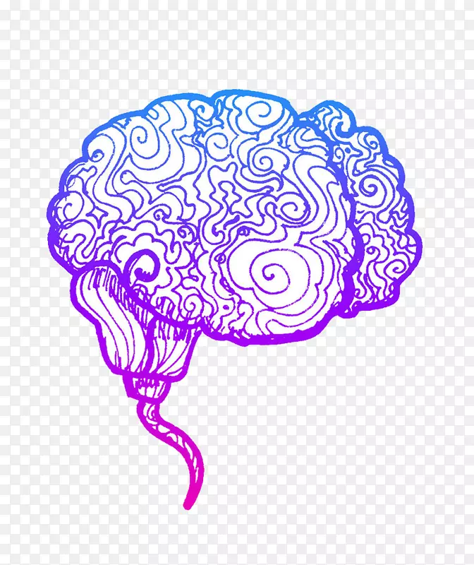 人脑AGY大脑半球大脑皮层感觉-脑