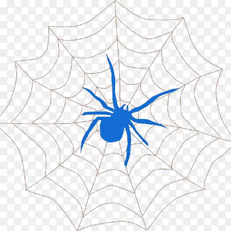 蜘蛛网绘图夹艺术-蜘蛛