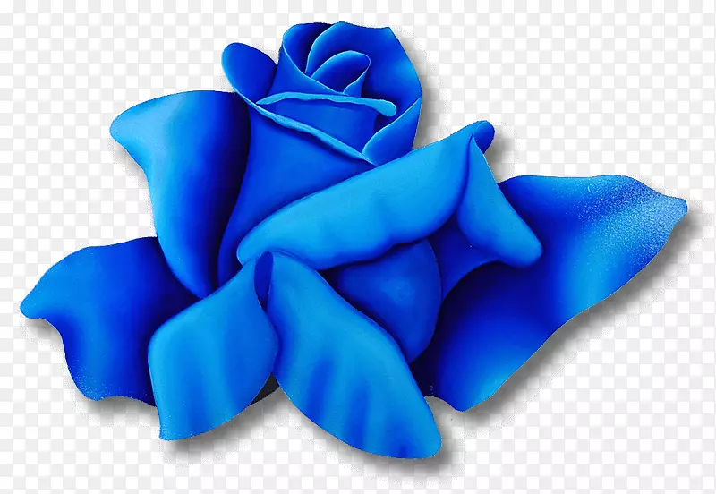 蓝色玫瑰花园玫瑰画罗莎‘壮丽’-玫瑰