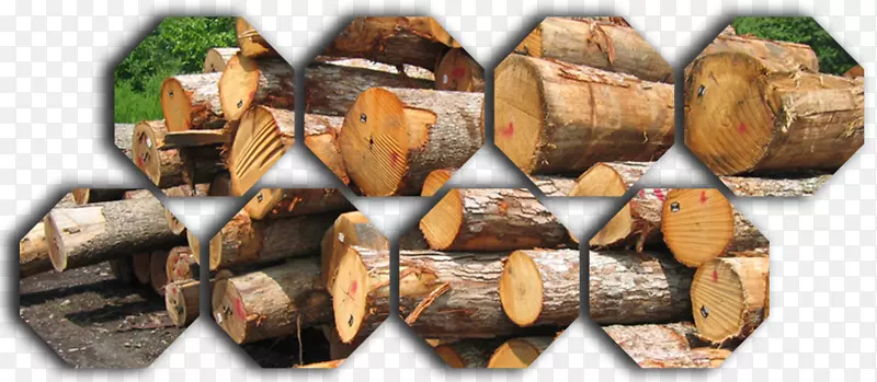 软木木材建筑工程.木材