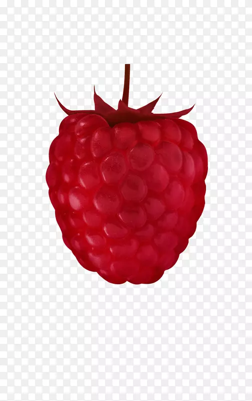 红树莓副果