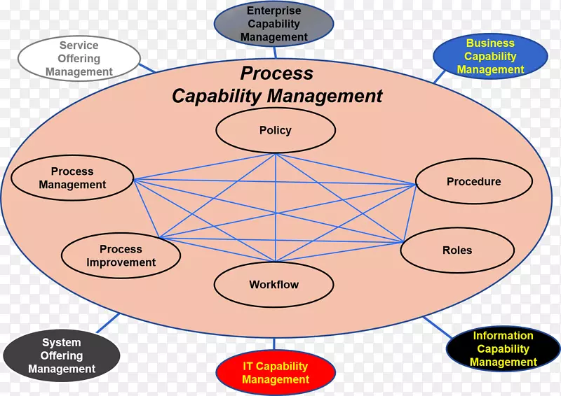 组织过程架构能力管理业务流程管理业务