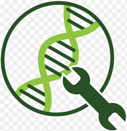 藻类燃料基因工程遗传学