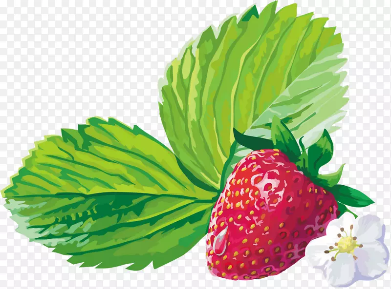 麝香草莓覆盆子果-草莓