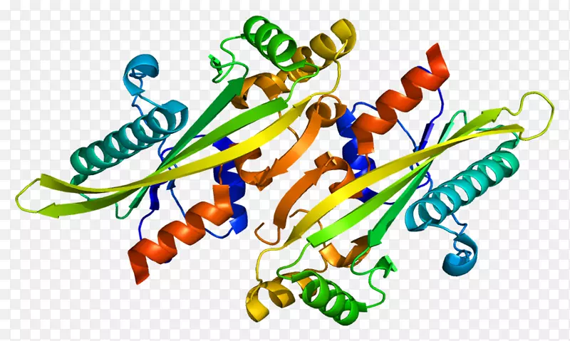 蛋白质结构基因wiki酶