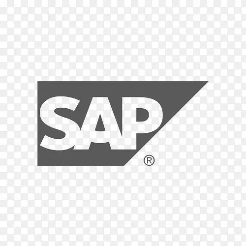 SAP ERP sap se sap执行sap s/4 hana-业务