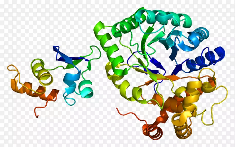 电压门控钾通道kcnb 2蛋白结构-结构
