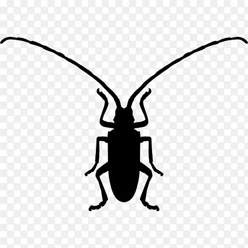 长角甲虫电脑图标符号亚洲女甲虫-甲虫