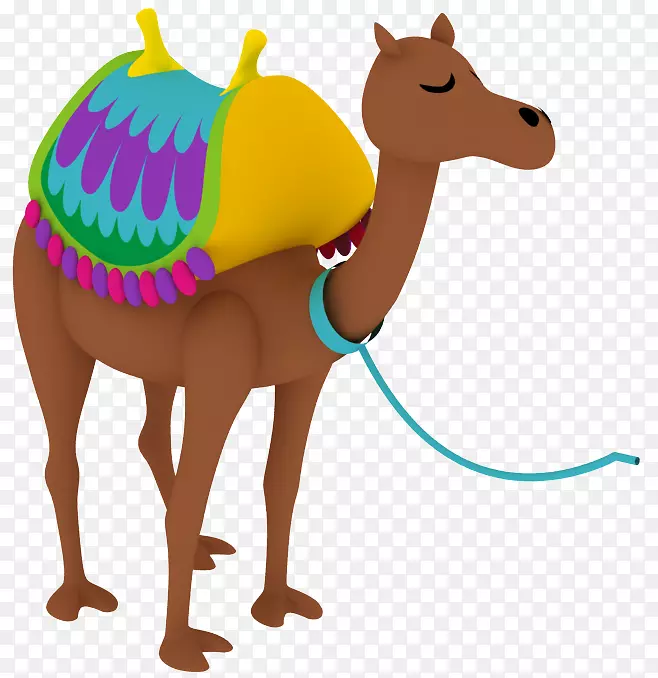 骆驼下垂颈鼻夹艺术-骆驼