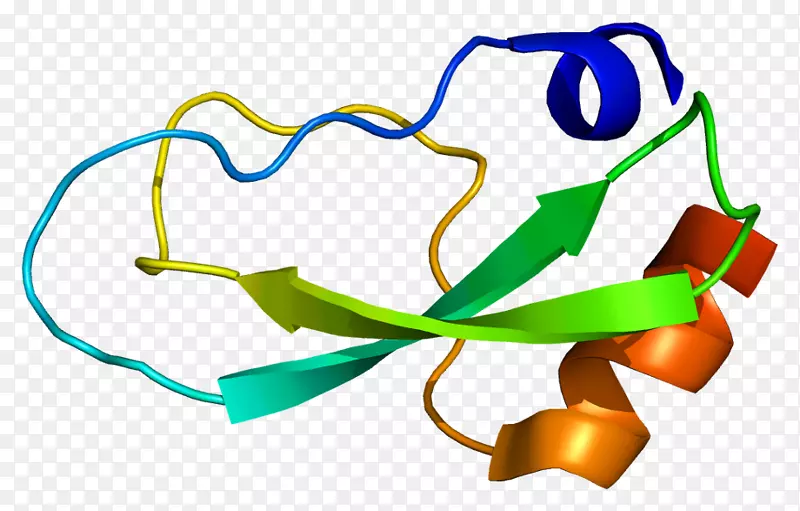 胶原，vi型，α3型胶原i型胶原蛋白
