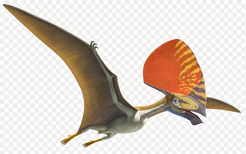 洛杉矶自然历史博物馆翼龙飞行Anhanguera Darwinopterus-恐龙