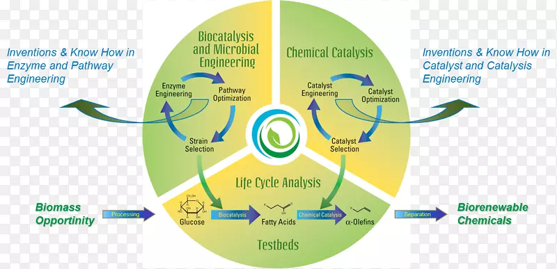 生物制品、生物地球化学循环、化学物质催化、生物生命周期-塞科斯信息技术大学和EME