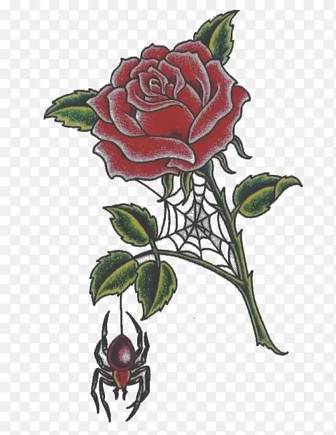 花园玫瑰花卉设计视觉艺术-玫瑰