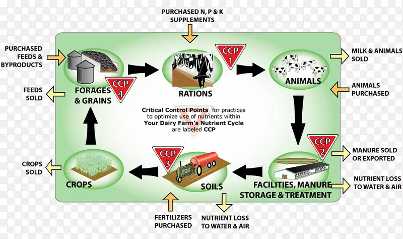 养分循环农场农业磷循环公德宣传图
