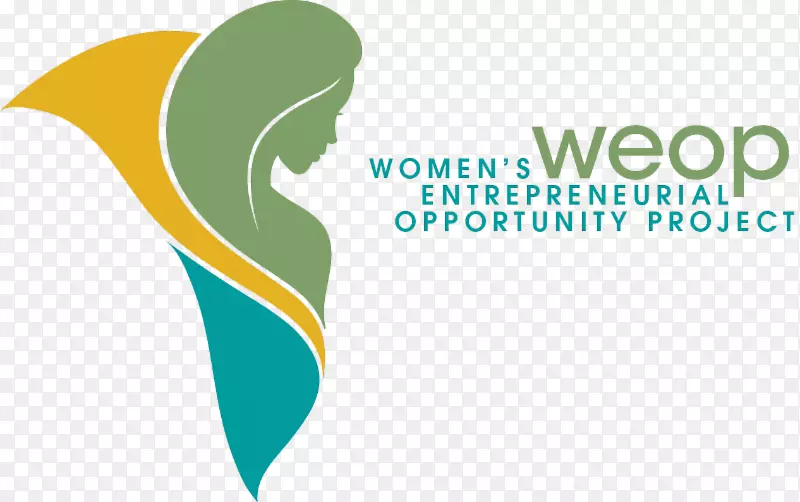 妇女创业机会项目公司非营利性机构营销小企业营销
