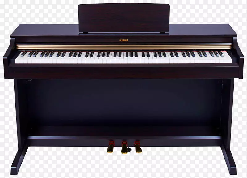 数字钢琴，电动钢琴，钢琴演奏者，钢琴音乐键盘-钢琴
