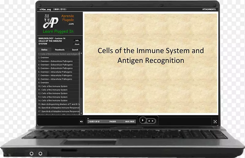 主要组织相容性复合变态反应天然免疫系统免疫学细胞因子-免疫学