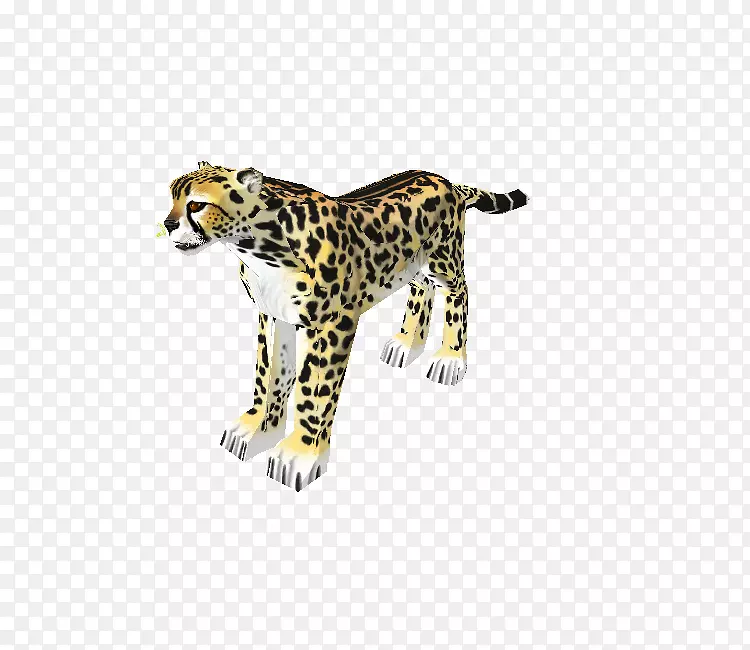 豹美洲虎陆生动物豹
