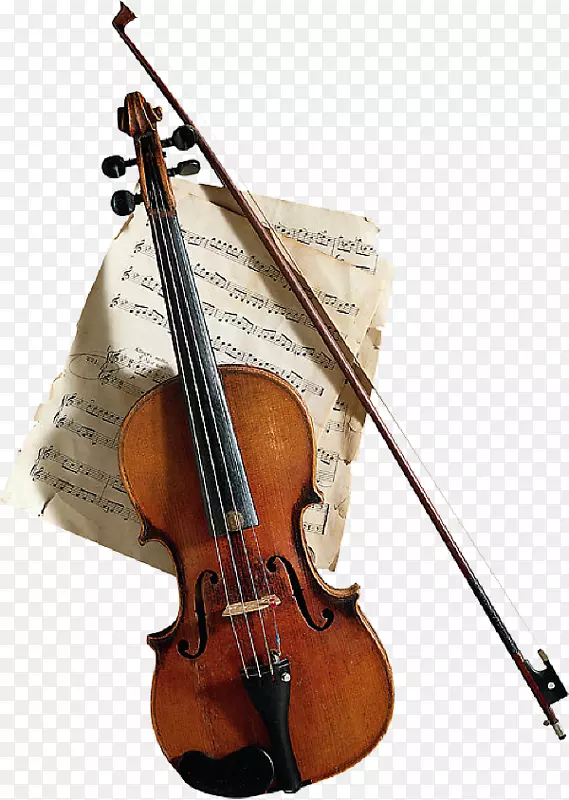 音乐：欣赏弓形小提琴的意义-弓形