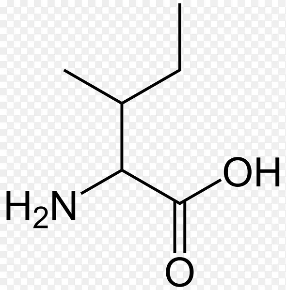 枫糖浆尿病亮氨酸支链氨基酸