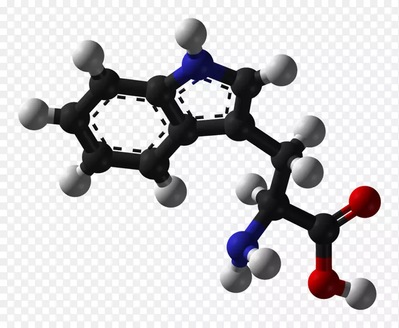 色氨酸氨基酸苯丙氨酸立体异构化