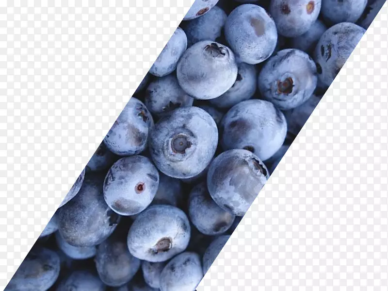 蓝莓越橘超食蓝光碟蓝莓