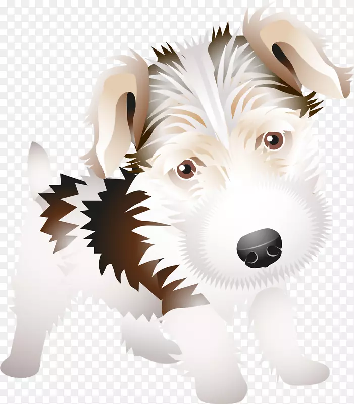 西部高原白色猎犬电线狐猎犬苏格兰猎犬小狗品种-小狗