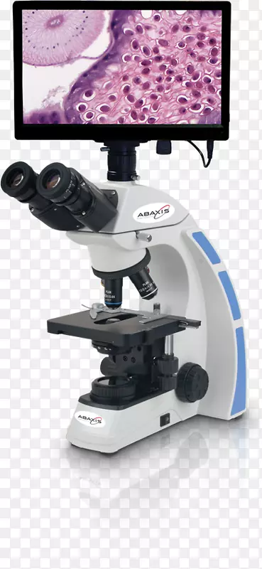 相位差显微镜、数字显微镜、立体显微镜-显微镜