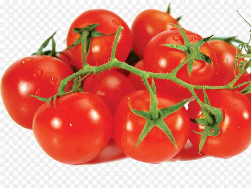 番茄蔬菜土豆食品水果-番茄