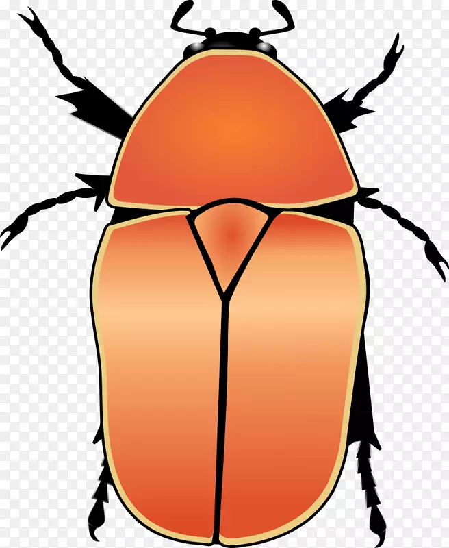 欧洲月季虫夹术-甲虫