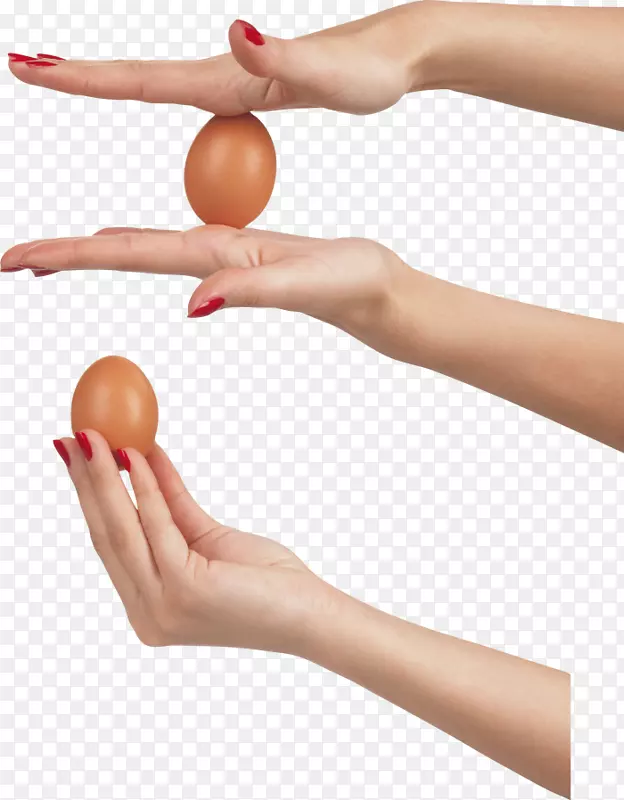 煎蛋夹艺术-鸡蛋