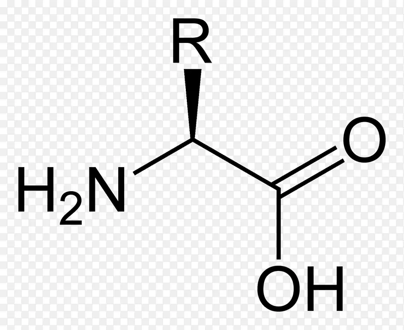 丝氨酸、缬草碱、丙氨酸、氨基酸、酪氨酸