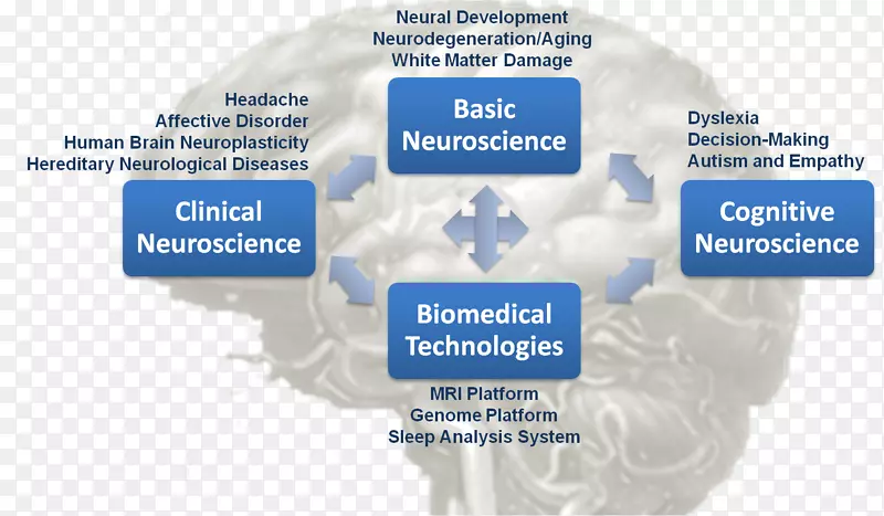 临床神经科学研究发展认知神经科学