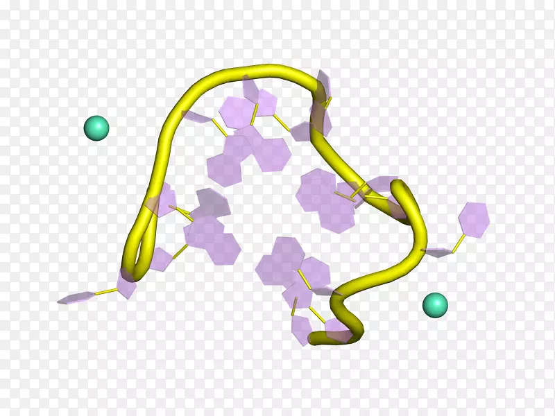 蛋白质亚基酶分子活性位点