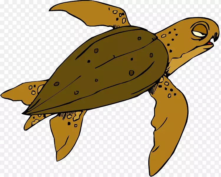 海龟塘龟昆虫龟