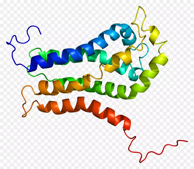蛋白鸟嘌呤核苷酸交换因子Rho家族的arhgef 7