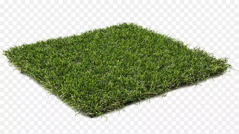 草坪人工草坪草花园地毯草