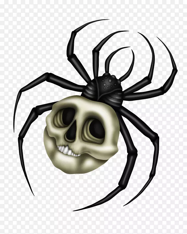 黑寡妇蜘蛛昆虫剪贴画-Gaga女士蜘蛛