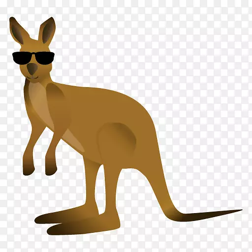 袋鼠大袋鼠红狐剪贴画-澳大利亚
