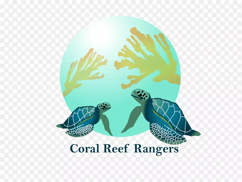 海龟海洋生物绿松石-珊瑚礁