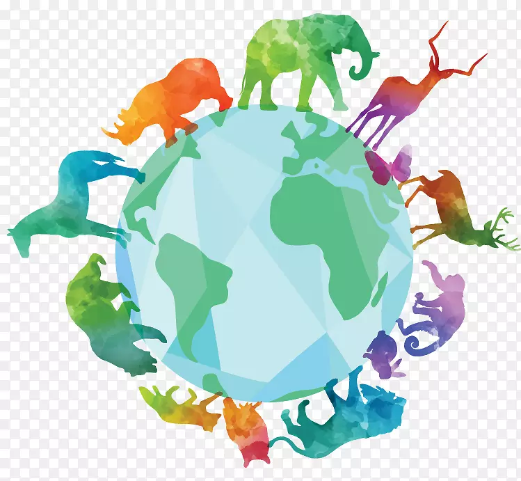 生物多样性生物生态系统物种多样性可持续性生物多样性