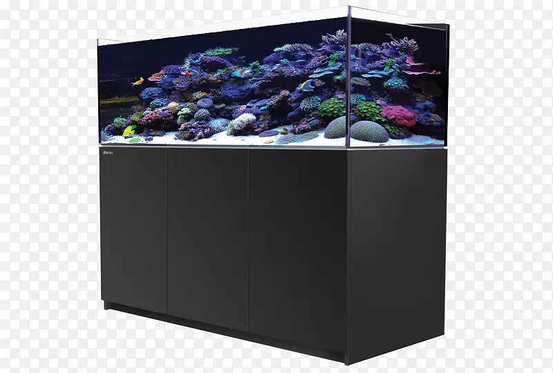 红海礁xl 525水族箱，红海礁350礁水族箱，红海礁450-海水的水族箱照明