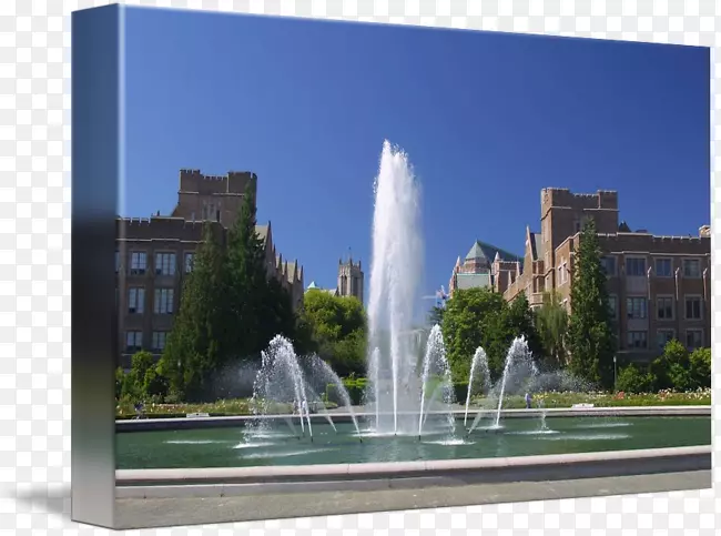 喷泉水源-华盛顿大学