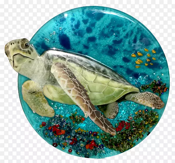 甲鱼海龟盒海龟抓取海龟-海龟