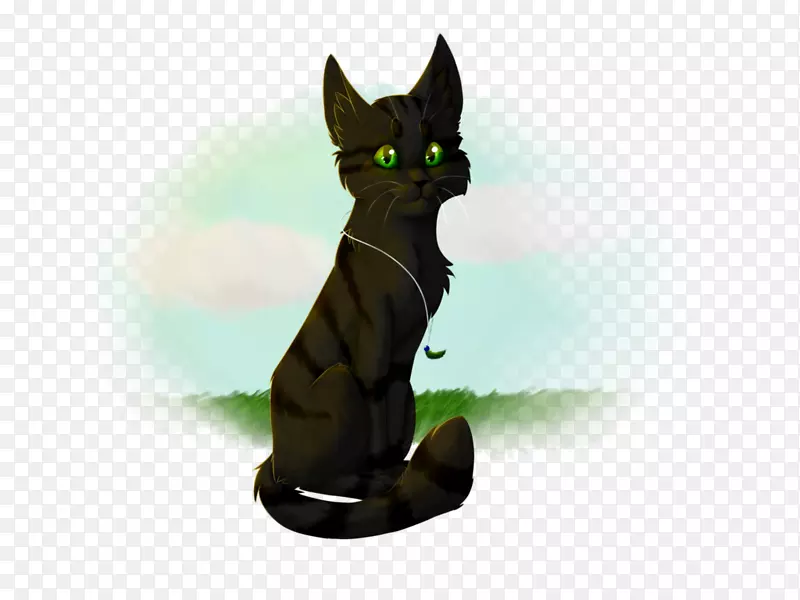黑猫科拉特猫须-小猫