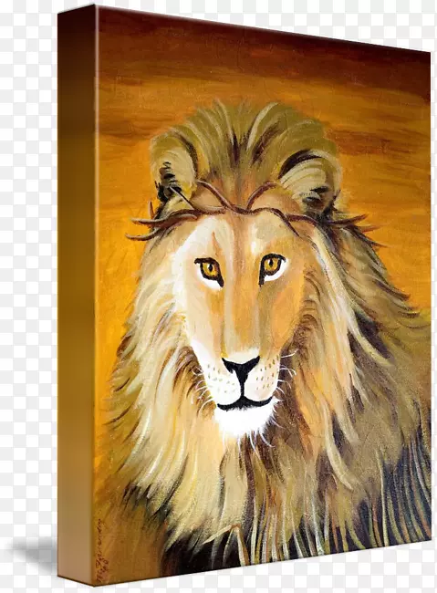 水彩画胡须-犹大的狮子猫
