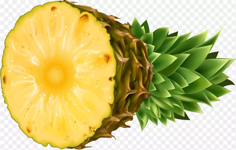 菠萝食品热带水果剪贴画水果菠萝